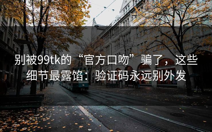 别被99tk的“官方口吻”骗了，这些细节最露馅：验证码永远别外发