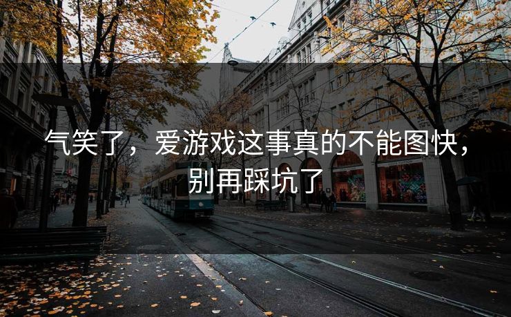 气笑了，爱游戏这事真的不能图快，别再踩坑了